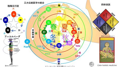 三陽三陰|【三陰三陽の考え方 1